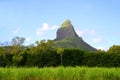 Beautiful mountain landscape with sugar cane field and Mount Rempart in Mauritius island.