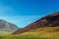 Beautiful mountain landscape on sunny spring day. Pink rhododendron flowers on a mountainside against blue sky Royalty Free Stock Photo