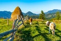 Beautiful mountain landscape with traditional piles of hay on meadow in Romania Royalty Free Stock Photo