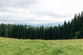 Beautiful mountain landscape of the Ukrainian Carpathians with pasture and coniferous forest in the background. Nature concept Royalty Free Stock Photo