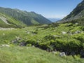 Beautiful mountain landscape with water stream creek, lush grass, spruce trees, dwarf scrub pine and mountain peaks