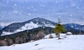 Beautiful mountain landscape. Winter landscape with falling snow. Location Carpathian, Ukraine Royalty Free Stock Photo