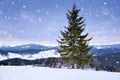 Beautiful mountain landscape. Winter landscape with falling snow. Location Carpathian, Ukraine Royalty Free Stock Photo