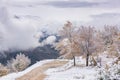 Beautiful mountain landscape in winter Royalty Free Stock Photo