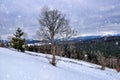 Beautiful mountain landscape. Winter landscape with falling snow. Location Carpathian, Ukraine Royalty Free Stock Photo