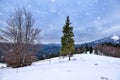 Beautiful mountain landscape. Winter landscape with falling snow. Location Carpathian, Ukraine Royalty Free Stock Photo