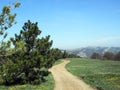 Beautiful mountain landscape with yellow hiking trail on a flowered field. Crimean mountains at spring Royalty Free Stock Photo