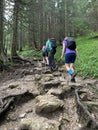 Beautiful mountain landscapes climbing trekking walk tourism Zakopane Poland Slovakia Tatry