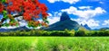 Beautiful mountain landscapes of Mauritius island with famous re