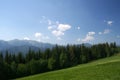 Beautiful mountain meadow forest view Royalty Free Stock Photo