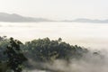 Beautiful mountain mist in rain-forest Thailand. Royalty Free Stock Photo