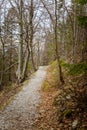 A beautiful mountain path through forest with autumn leaves. Royalty Free Stock Photo