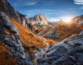 Beautiful mountain path, rocks and stones, orange trees at sunset