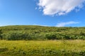 Beautiful mountain range and green tree, Iceland Royalty Free Stock Photo