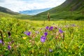 Beautiful mountain range and landscape near Dalvik in Iceland Royalty Free Stock Photo