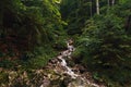 Beautiful mountain river dense forest Slovakia