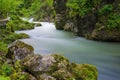 Beautiful mountain river Royalty Free Stock Photo