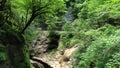 River in a mountain gorge, Guamka, Russia