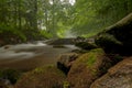 Gorgeous scene of mountain river in misty forest