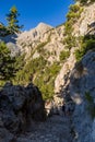 Beautiful mountain scenery of a gorge surrounded by tall cliffs and pine trees Samaria Gorge, Crete, Greece Royalty Free Stock Photo