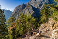 Beautiful mountain scenery of a gorge surrounded by tall cliffs and pine trees Samaria Gorge, Crete, Greece Royalty Free Stock Photo