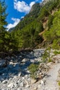 Beautiful mountain scenery of a gorge surrounded by tall cliffs and pine trees Samaria Gorge, Crete, Greece Royalty Free Stock Photo