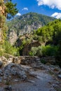 Beautiful mountain scenery of a gorge surrounded by tall cliffs and pine trees Samaria Gorge, Crete, Greece Royalty Free Stock Photo