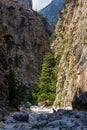 Beautiful mountain scenery of a gorge surrounded by tall cliffs and pine trees Samaria Gorge, Crete, Greece Royalty Free Stock Photo