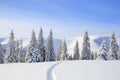 Beautiful mountain scenery. Winter landscape with trees in the snowdrifts, the lawn covered by snow with the foot path. New Year