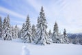 Beautiful mountain scenery. Winter landscape with trees in the snowdrifts, the lawn covered by snow with the foot path. New Year Royalty Free Stock Photo