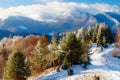 Beautiful mountain snowy landscape and forest path. Beautiful sunny day in the mountains.