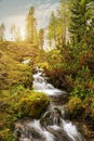 Beautiful mountain stream in the Dolomites Royalty Free Stock Photo