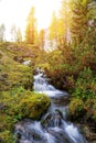 Beautiful mountain stream in the Dolomites Royalty Free Stock Photo