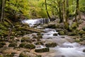 Beautiful mountain stream with small waterfall in autumn forest landscape Royalty Free Stock Photo