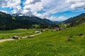 Beautiful mountain tour in spring to the Siplingerkopf from Balderschwang in the Allgau