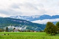 Beautiful mountain valley/field landscape with horses, trees and traditional austrian village in Austrian Alps. Austria, Salzkamme Royalty Free Stock Photo