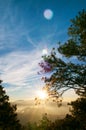 Beautiful mountain valley in Baguio, Luzon, Phillippines Royalty Free Stock Photo