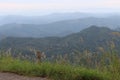 Beautiful mountain view in city Haputhale, Sri Lanka