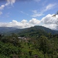 Beautiful mountain view of kerala with green teaplants and blue sky Royalty Free Stock Photo