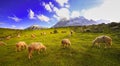 Beautiful mountain view of Sonamarg mountain, Jammu and Kashmir state, India Royalty Free Stock Photo