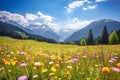 Beautiful mountain village scenery with fresh green meadows