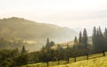 Beautiful mountain village in ukrainian carpathian mountains at dawn in summer Royalty Free Stock Photo