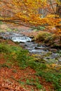 Mountain waterfall in autumn forest Royalty Free Stock Photo