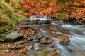 Mountain waterfall in autumn forest Royalty Free Stock Photo