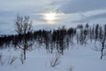 Beautiful mountain winter landscape in the arctic circle wilderness with small mountain birch trees and sunshine behind dense clou Royalty Free Stock Photo