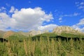 Beautiful mountains along the famous Dalton Highway, leading from Fairbanks to Prudhoe Bay, Alaska, USA