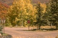 Beautiful mountains in Aspen on the Fall foliage season in September. Colorful trees in the mountains of Colorado state