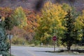 Beautiful mountains in Aspen on the Fall foliage season in September. Colorful trees in the mountains of Colorado state