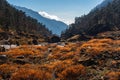 Beautiful mountains and forest in autumn season. Mera peak trekking trail in Himalaya mountains range, Nepal Royalty Free Stock Photo