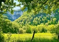 Beautiful mountains of Jura in Bourgogne-Franche-ComtÃ©